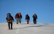 Five people trekking  on a mountain