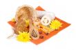 Spa still-life with candle