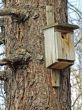 birdhouse