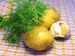 Potato with fennel and garlic 2