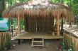 nipa hut