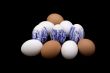 Easter eggs on the isolated black background