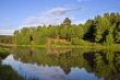 Blue reflection in lake at summer forest