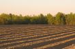 Furrows