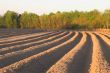 Furrows