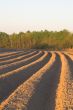 Furrows
