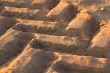 Tractor Tracks