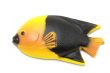 Colored Fish magnet