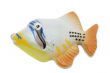 Fish magnet macro