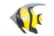 Fish magnet