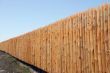 Wooden paling