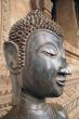 Buddha`s head
