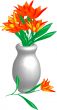 Tulips in vase