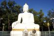 White Buddha