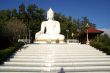 Buddha and staircase