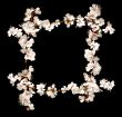 Floral frame from cherry blossom branches isolated on black