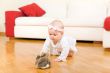 Happy eight month old baby girl crawling to rabbit toy