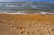 Traces on sand.