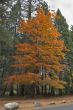 Autumn holiday.