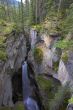 Roaring falls.