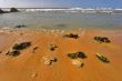 Small stones on a beach