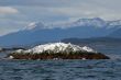 Island with birds on the Beagle Channel, Ushuaia.