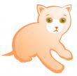 kitten