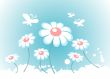 spring flowers
