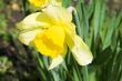 Spring again!