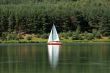 SAILING ON THE BAY