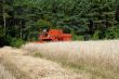 harvester harvesting a grain field