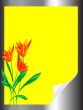Paper with tulips