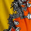 Bhutanese Flag Closeup