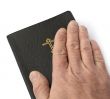 Oath On The Bible