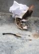 Burning Paper