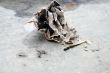Burnt Paper
