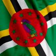 Dominica Flag Closeup
