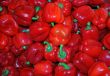 sweer pepper
