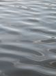 lake water surface