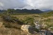 Landscape of Tierra Del Fuego near Ushuaia. Argentina.