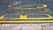 Bus Lane