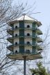 Multi-level Birdhouse