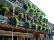 Wrought Iron Balconies with Ferns