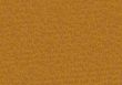Background - brown texture of a pith tree