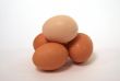 Some eggs close-up
