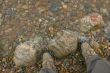 Legs in hiking boots on stone shore