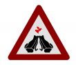 Frog Road Sign