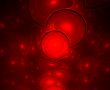 Red roe
