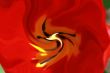 red flower