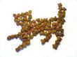 Dry forage for cats